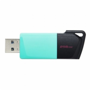 PENDRIVE KINGSTON DTXM/256GB